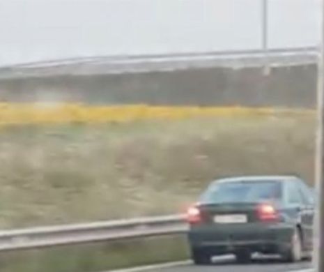 Șofer FILMAT rulând pe contrasesns, pe Autostrada Vestului  I VIDEO