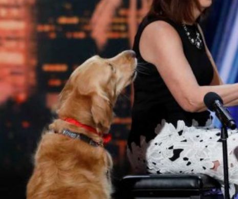 VIDEO. Este FASCINANT cum a CUCERIT câinele Oscar JURIUL celebrului show  America`s Got Talent