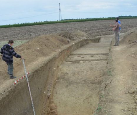 Descoperire arheologică uriașă în Arad: E mai mare ca Troia