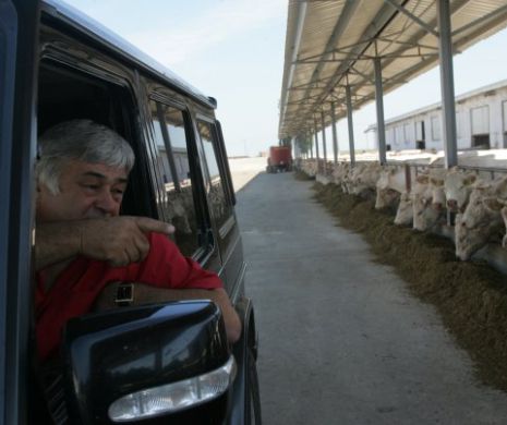 Dimitrie Muscă: ”În anul 2016 am sesizat – atât Președinția, cât și Ministerul Agriculturii – că vin porcii mistreți din Ucraina bolnavi de pesta porcină africană și țara va fi condamnată”