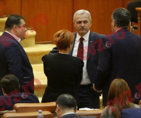 Ecaterina Andronescu cere demisia lui Dragnea: ”Sunt mulți care gândesc ca mine”