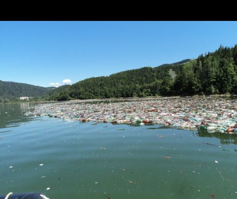 FOTOGRAFII DEZOLANTE De ce sunt pline de PET-uri lacurile și râurile din România? Cine are sarcina să le curețe