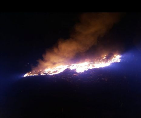 Incendiu purtenic lângă Arad I VIDEO