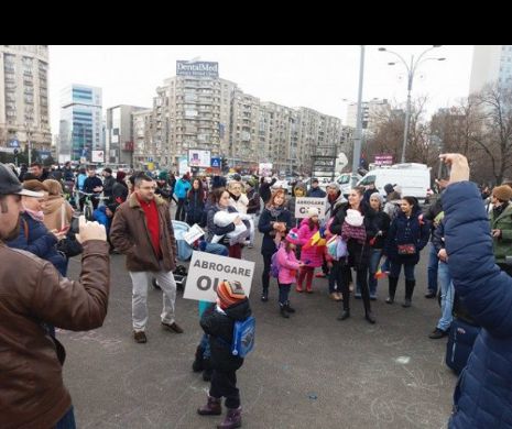 Păreri pro și contra despre copiii „plimbați” de părinți la mitingurile de protest