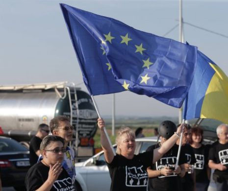 Protestatarii din diaspora care merg la mitingul anti PSD, întâmpinați cu steaguri lângă Timișoara