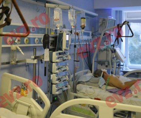 Virusul West Nile a provocat moartea a șase oameni în România. Atenție, nu există vaccin!