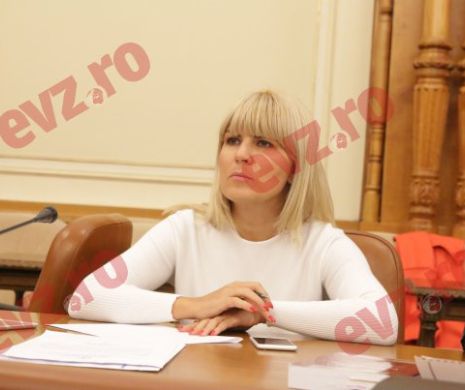 Elena Udrea, mișcare de ȘAH MAT dată autorităților. Ce a DEZVĂLUIT avocatul