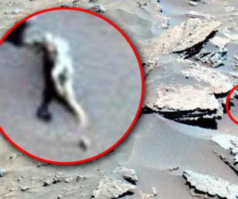 Imagini INCREDIBILE! Străinii pe Marte: Este această fotografie NASA a EXTRATERESTRULUI o dovadă a OZN-urilor pe Marte? VIDEO-FOTO în articol