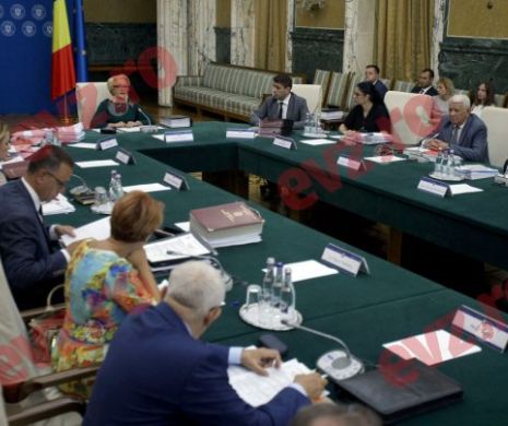 Limba română l-a scos pe Popa din Guvern