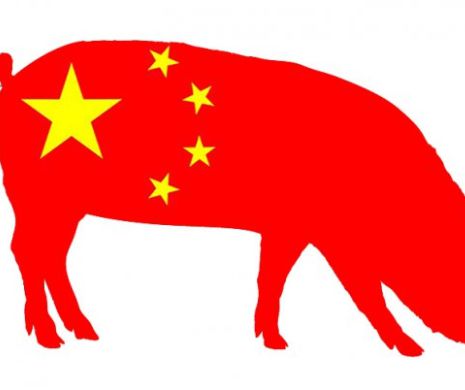 Pesta porcină africană lovește China. Cel mai mare producător de carne de porc din lume încearcă să limiteze efectele epidemiei