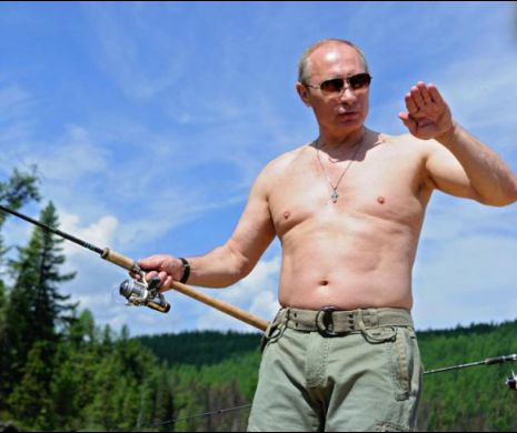 Putin se PLICTISEȘTE la KREMLIN. CULEGE fructe de pădure și SPERIE URȘII (VIDEO)