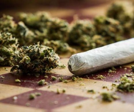Canada a legalizat marijuana în scop recreativ