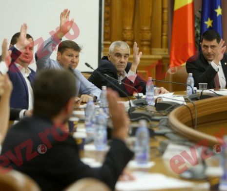 Dezvăluiri la Comisia SPP: cum i-a propus Pahonțu lui Stănescu să-l mazilească pe Dragnea!