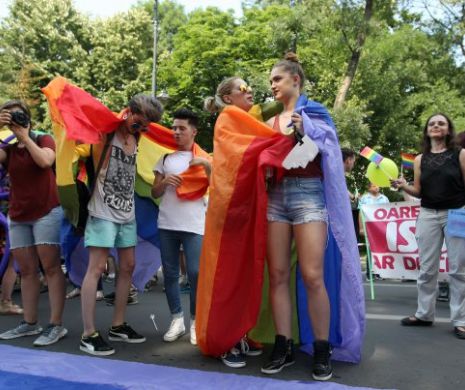 După eșecul referendumului, parlamentarii vor să oficializele uniunile gay