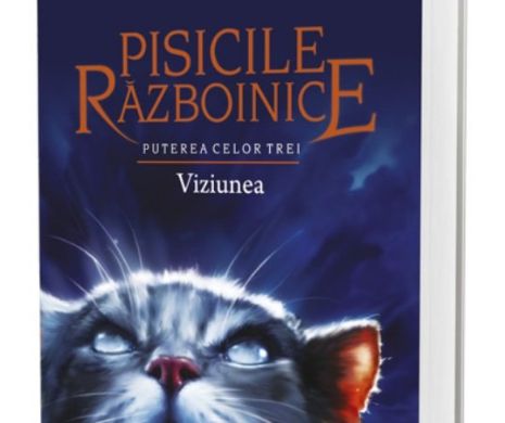Pisicile răboinice - apare un nou volum: Viziunea