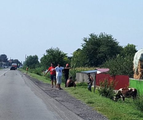 Rețea de BRACONAJ PISCICOL și FURTURI de combustibil pe DUNĂRE, capturată de polițiștii de la Transporturi Constanța