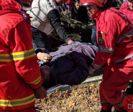 Tragedie la Craiova: Un copac a căzut peste o femeie