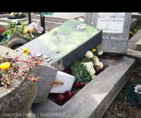 BARBARIE într-un cimitir din Satu Mare. NU s-a mai văzut așa ceva.Peste 50 de morminte au fost PROFANATE