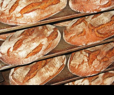 Cu o producție RECORD la grâu, în ROMÂNIA se SCUMPEȘTE pâinea!