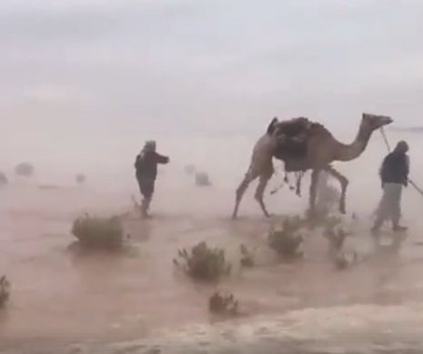 Imagini incredibile din Emiratele Arabe Unite! Deșertul acoperit de ape, în urma inundațiilor