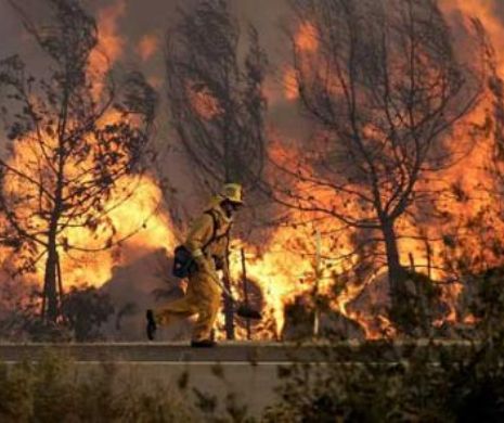 Incendiu DEVASTATOR! Cinci persoane au murit și aproape 150.000 de persoane au fost EVACUATE