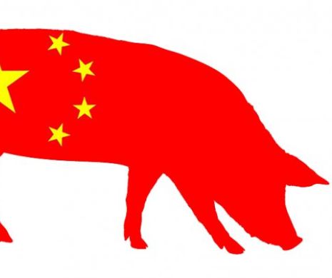 Lovitură de grație pentru China. Epidemia de pestă porcină africană a fost depistată pentru prima dată la Beijing