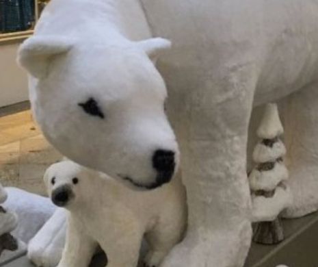 Un aranjament de CRĂCIUN lasă clienţii cu gura căscată. Cum e posibil aşa ceva într-un mall unde vin şi adolescenţi. Foto în articol