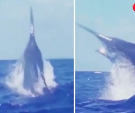 Un monstru gigantic a fost filmat ieşind din ocean. VIDEO în articol