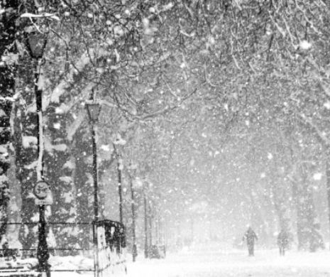 VREME de IARNĂ în București. Orașul asaștat de zăpadă și vânturi puternice.