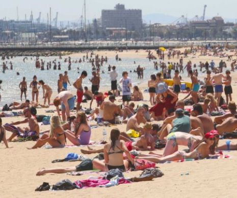 Australienii mor de căldură, la propriu
