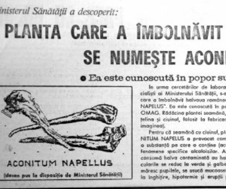 La începutul anilor ’90, românii au avut halucinaţii de la halvaua contaminată cu „Aconitum napellus”