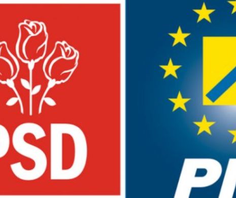 Miza alegerilor EUROPARLAMENARE pentru PSD şi PNL