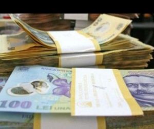 Capitalul Social propus de Ministerul de Finanțe, 8.000 lei pentru SRL. Disciplină sau barieră pentru inițiativă. Analiză