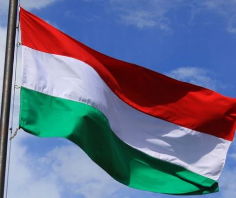Tânără FILMATĂ în timp ce voia să dea foc steagului Ungariei I VIDEO