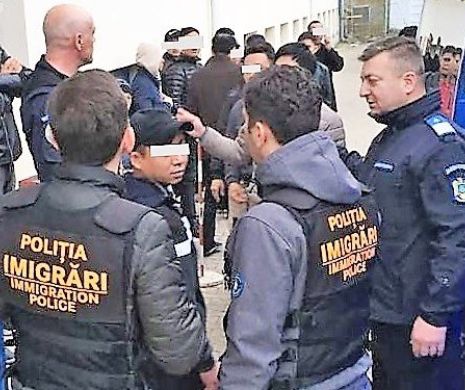 Activitate intensă a polițiștilor de Imigrări Constanța. Zeci de străini expulzați, sub escortă, din țară