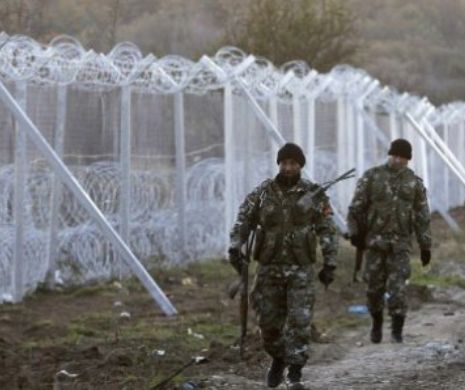Pericol total la granițele României! Boala care face ravagii