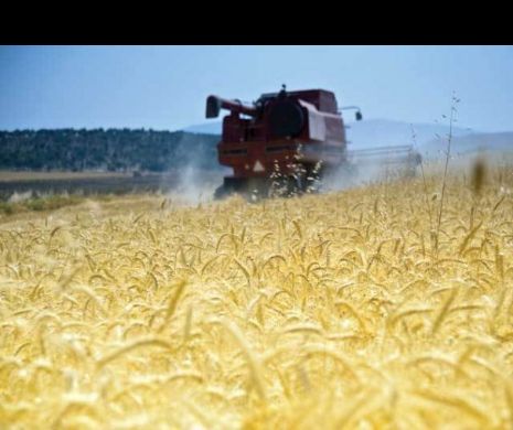 Rusia. Măsuri dure în ceea ce privește controalele asupra exporturilor de cereale