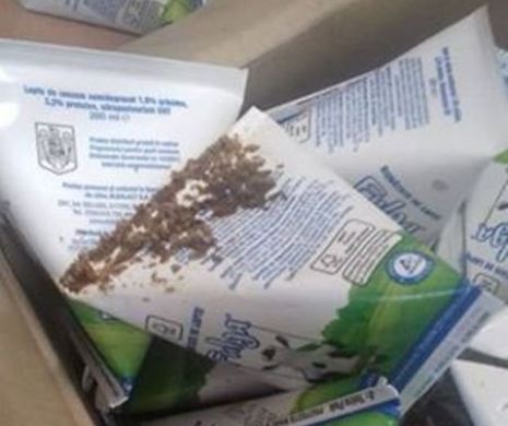 ȘOC într-o școală din Bistrița. Ce au găsit elevii în cutiile cu lapte. Autoritățile au intrat în ALERTĂ