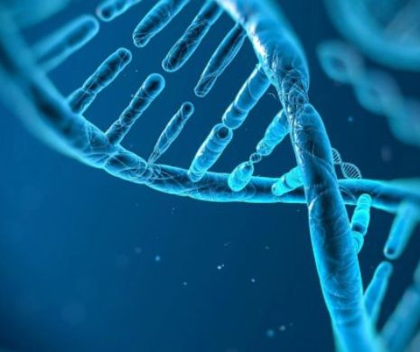 Studiu: ADN-ul ar putea prezice durata de viață a oamenilor