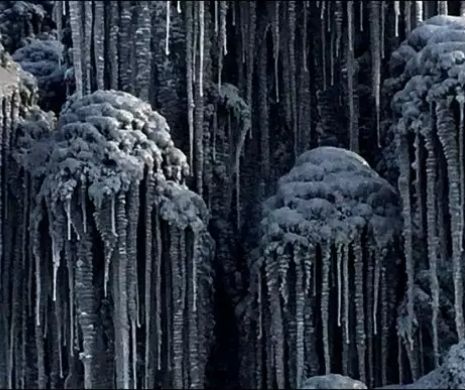 Apocalipsa în Siberia. A nins cu zăpadă neagră