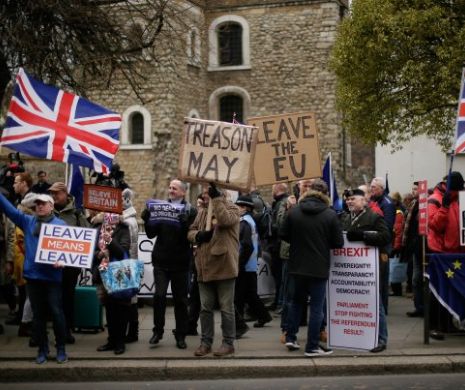 Isterie în Marea Britanie: Bătaie pe „Brexit Box”, kitul de supraviețuire după divorțul de UE