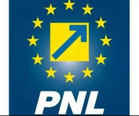 Lovitură de proporții: Cine ocupă primele locuri pe listele PNL pentru europarlamentare