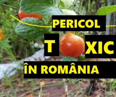 Roşii toxice pe pieţele din România. Cum le putem recunoaşte