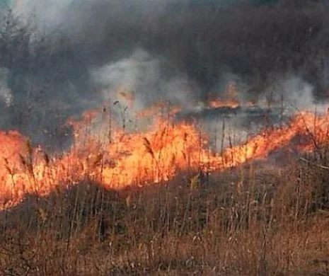 Dezastru în România! Peste 50 de incendii și mii de hectare făcute scrum. Cine este responsabil
