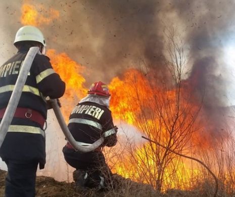 Incediu puternic în apropiere de București. Traficul este paralizat. Breaking news