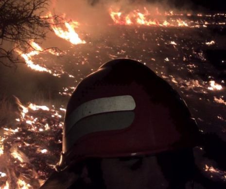 Incendiu puternic în Nehoiu. Arde pădurea. 14 hectare de vegetație cuprinse de flăcări