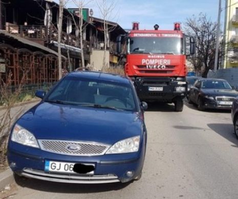 Pompierii de la ISU Banat au rămas blocați! S-au trezit cu bizonul în Timișoara