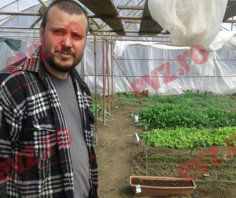 Tudor Lupu, inginer horticultor: „Țăranii chimizează tot! Cumpără pliculețele cu otravă de la fitofarmacia din sat”