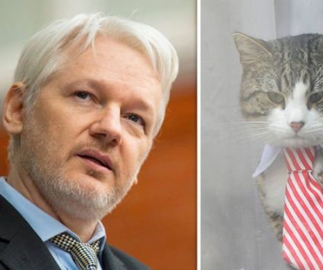 A scăpat sau nu a scăpat pisica lui Assange de Scotland Yard? Foto în articol