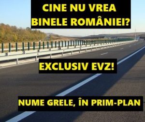 Caracatița de interese a PSD din județul Alba. Șefa de la POSDRU spune că ANI a verificat-o, dar nu a cercetat-o